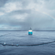 There is now a giant 600-meter-long boom in the Pacific that uses oceanic forces to clean up plastic.